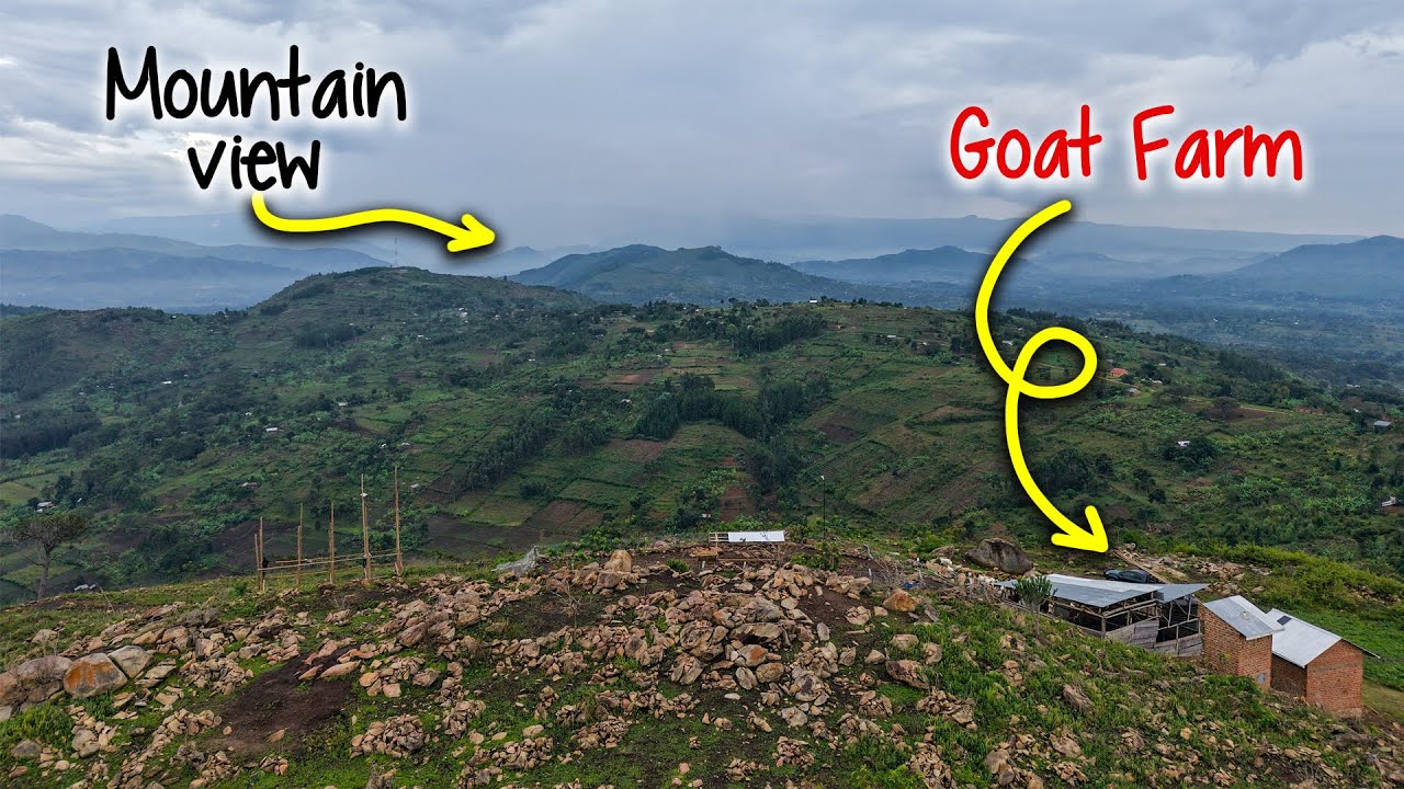 Превращение козьей фермы в туристический центр.
