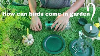 How can birds come in garden