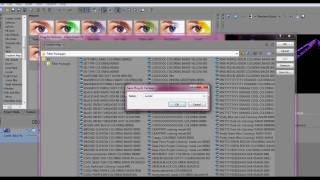 Sony Vegas Tutorial || How to save colorings