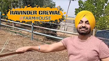 Ravinder Grewal @ Farmhouse | Candid | Punjabi Boli New Song | Tedi Pag Records