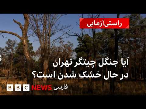 بررسی خشکیدگی درختان چیتگر با تصاویر ماهواره‌ای‌‌