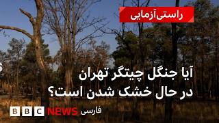 Full بررسی خشکیدگی درختان چیتگر با تصاویر ماهواره‌ای‌‌ News