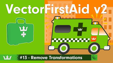 13: VectorFirstAid v2 - Remove Transformations