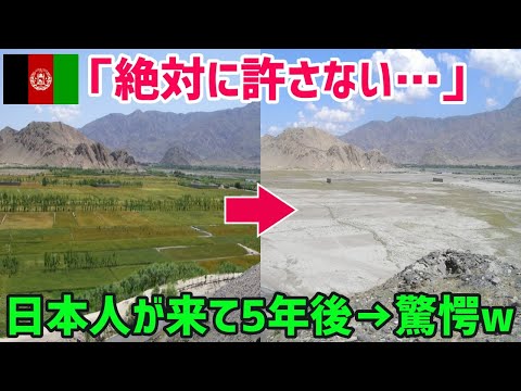 【海外の反応】「日本人は信じられない・・・」砂漠化が進行する土地に日本の技術を使った結果・・・【俺たちJAPAN】