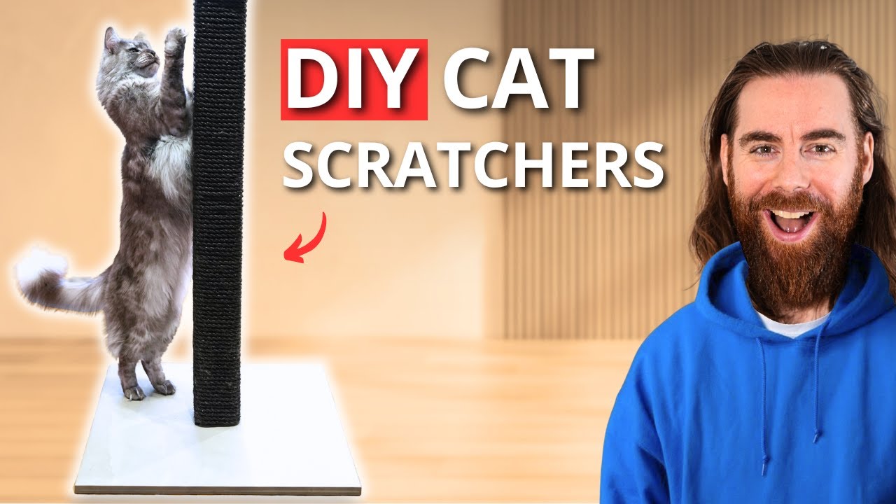 5 DIY Cat Scratchers Your Cats WILL Go CRAZY For (& How To Make Them!)