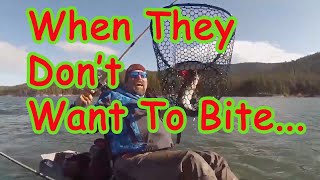 How To Catch Finicky Trout!
