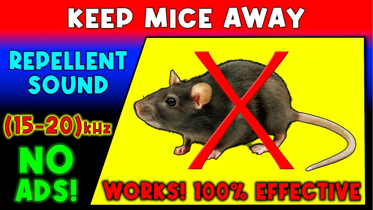 ANTI MICE REPELLENT SOUND ⛔🐀 KEEP MICE AWAY - ULTRASONIC SOUND 