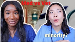 Vet School vs Med School  how to decide, minority experiences (pt. 2)