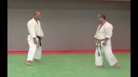 Kihon Kumite 9