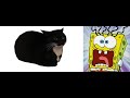 MAXWELL THE CAT WANTS TO STEAL A PIZZA FROM SPONGEBOB 