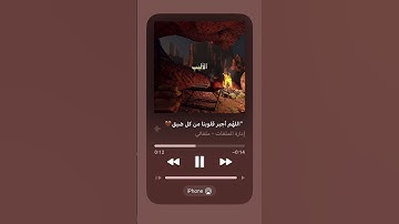 القارئ | عمر ضياء الدين السورة | آل عمران