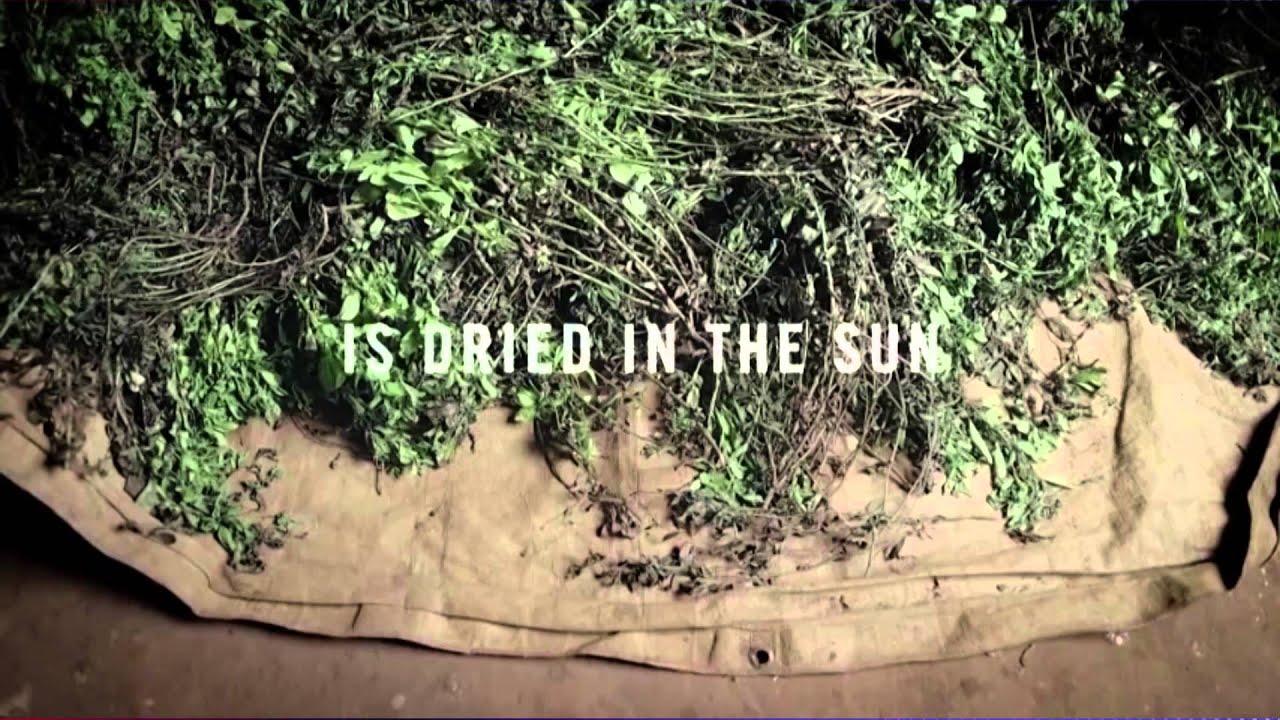 PureCircle CEO on Zeta family ingredients