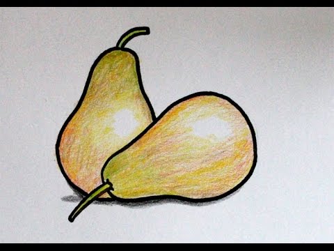 cara menggambar buah  pear pir  YouTube