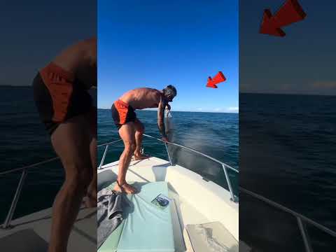 ما قام به هذا الرجل صدم الجميع 