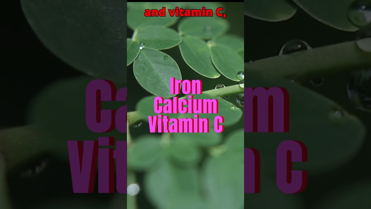 “Moringa Magic”-Unlocking the Power of Nature’s Superfood” #shorts  #healthyeating #healthylife