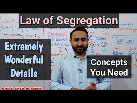 Law of Segregation | Mendelian Genetics | Class 12 Biology
