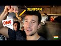 Foreigner eats craziest street food in assam   silkworm snails