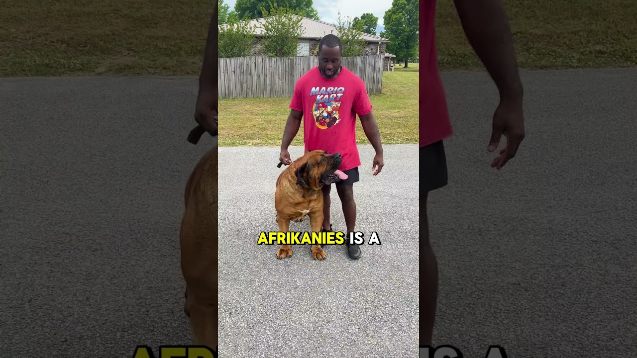 "Discover Africa: 5 Unique Facts About Dogs from the Continent!"