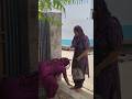 #song #music #love #sunita nada #youtube #ytshorts #video #viral #short #shorts