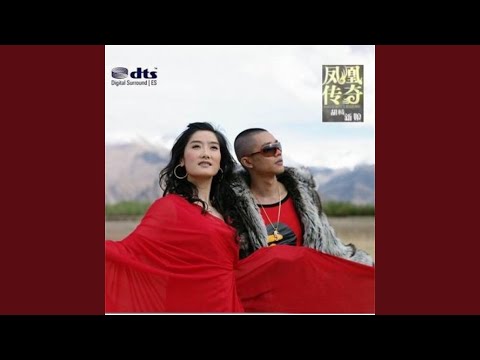 在 YouTube 上观看 新疆玫瑰
