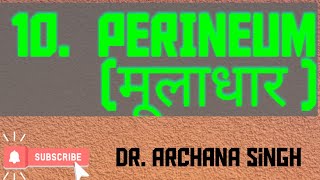 10. Perineum (मूलाधार)