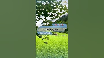 القارئ ملا دشتي #سورة_يوسف