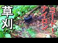 【草刈】ナイロンコードでひたすらドクダミを刈っていく！【公園】