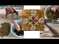 Traditional rangoli making using rice flour on floor waxed with cow dung  village lifestyle