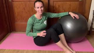 Bridges on Physioball