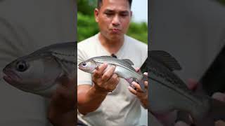 #fishinglife #fish #anglingadventure #fishingtrip #viral #viralvideo #viralshort