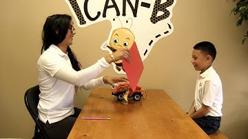 Multiple Stimulus Without Replacement (MSWO) with toys