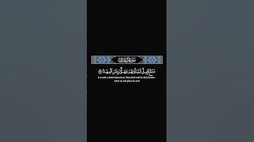 لايغرنك تقلب الذين كفروا بالبلد#تلاوة_خاشعة #راحة_نفسية #tilawat #quran #قرآن #اكسبلور #لايك