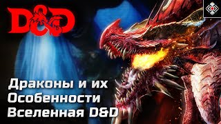 Драконы - Особенности и Способности | DnD, Forgotten Realms | Лор, Биология, Черты