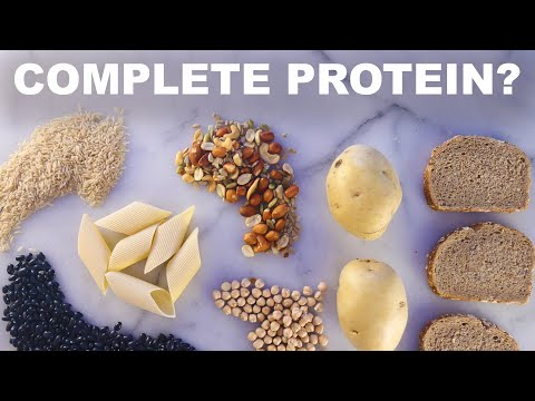 Video: Enden Proteine in ASE?