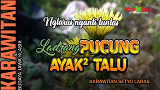 Download Lagu Gending Ladrang Pucung ayak ayak Talu MP3