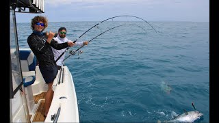 Epic Topwater Tuna and Kingfish!