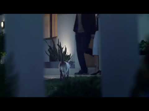 zwerge--mal-anders-als-im-garten-als-deko-stehen-🤣