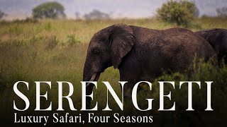 Serengeti, Luxury Safari in Tanzania 2022 | With Four Seasons