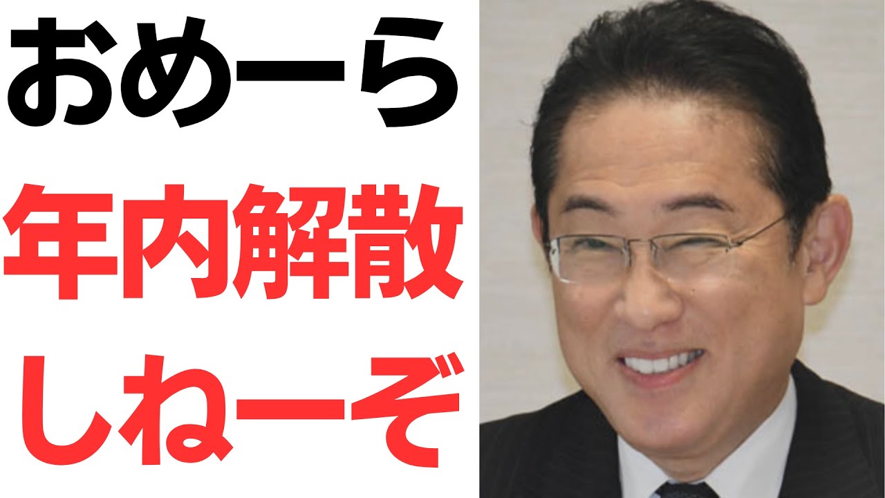 増税メガネ「おめーら年内解散しねーぞ！」今回も解散やるやる詐欺を扱う動画のサムネイル