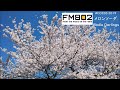 メロンソーダ - RADIO DARLINGS FM802 2019年春 ACCESSキャンペーンソング