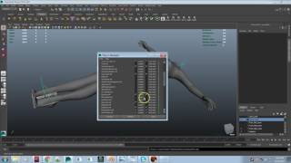 Importing Dev Kit Maya File into MayaStar (Maitreya Example)