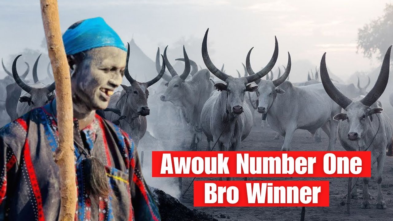 New Classic Dergel Hit Song Awouk Number One By Bro Winner