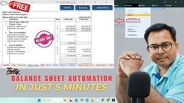 TALLY PRIME TO BALANCE SHEET | Tally To Excel Balance Sheet Automation @LearnWell