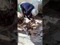 Using Drill Machine to Dig Soil Quickly