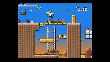 Untitled Furry SMW Hack - Peak Performance