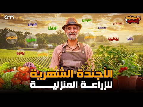 ماذا نزرع هذا الشهر المواعيد الصحيحة لكل ما تريد زراعته