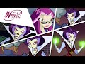 Winx Club - Griffin complete story!