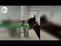 Paper Straw Making Machine Indian Machine Mart 