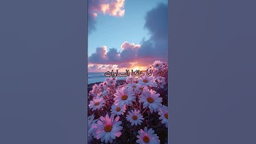 سورة الأحقاف #اسلام_صبحي #تلاوة_خاشعة #راحة_نفسية