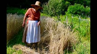 How We Plant A Years Worth Of Wheat In Our Backyard